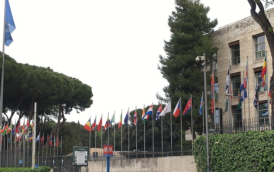 il palazzo della FAO a Roma che ospita i lavori della Cop16