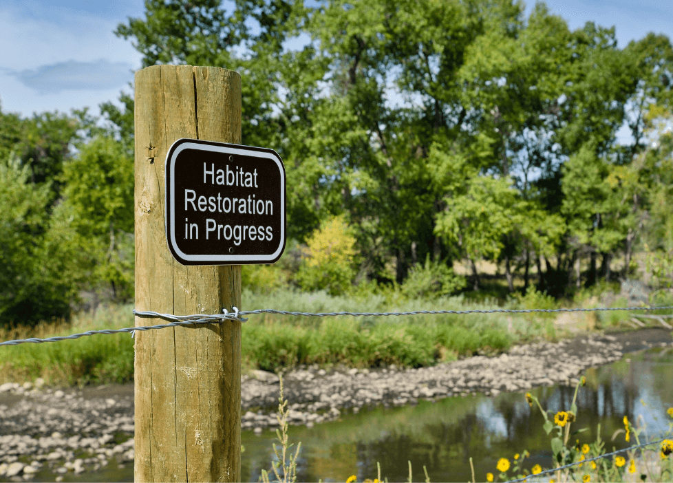 Un òuogo di ripristino della natura